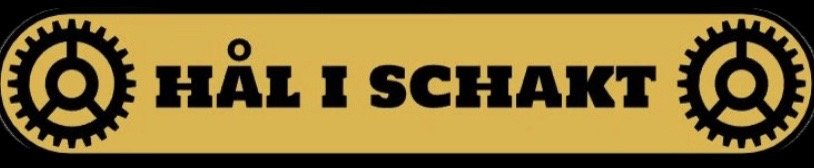 HÅL I SCHAKT logotyp