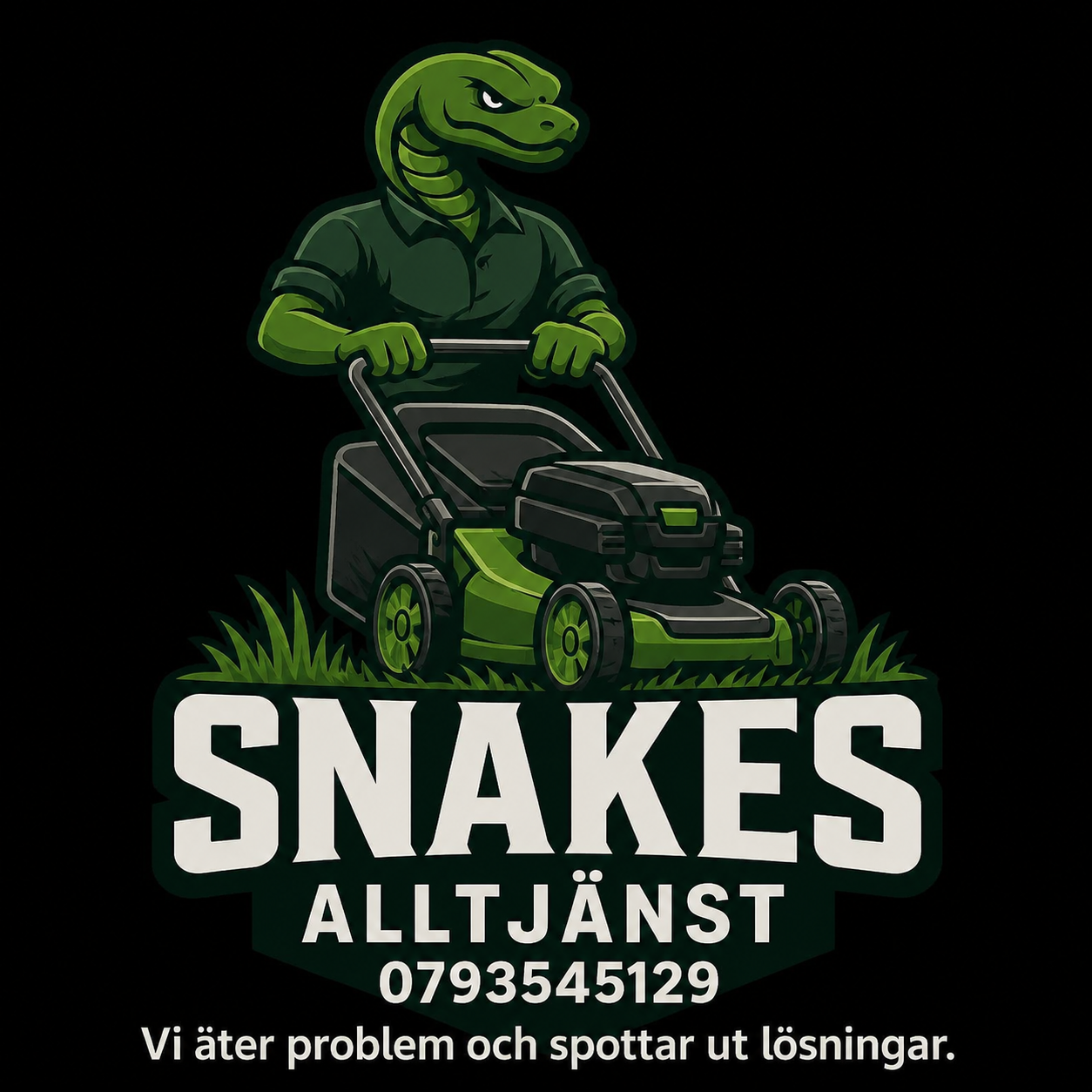 Snakesalltjänst