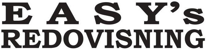 Easy’s redovisning logotyp