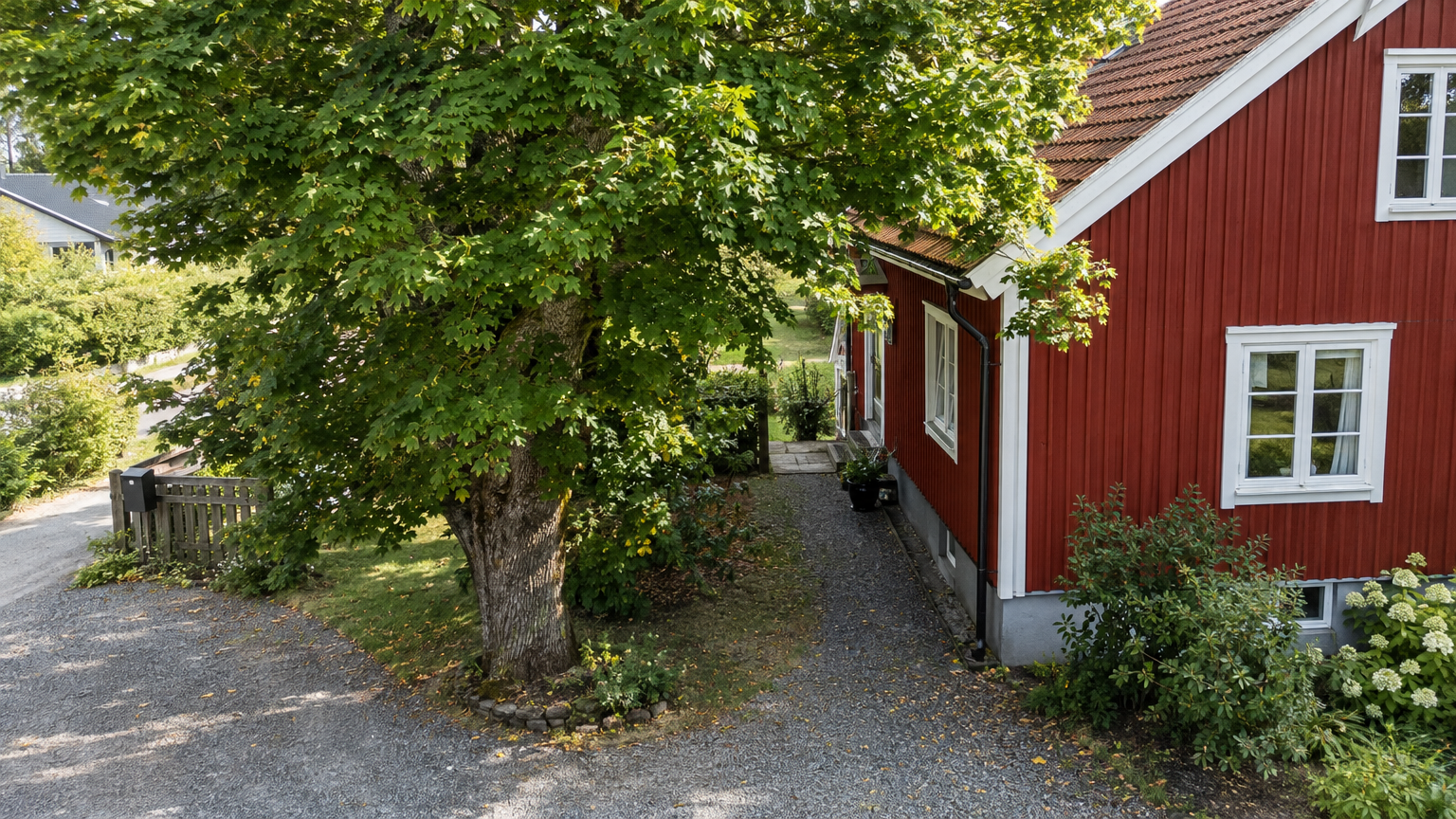 Stor lönn nära ett rött trähus med uppfart och en smal passage till trädgården.